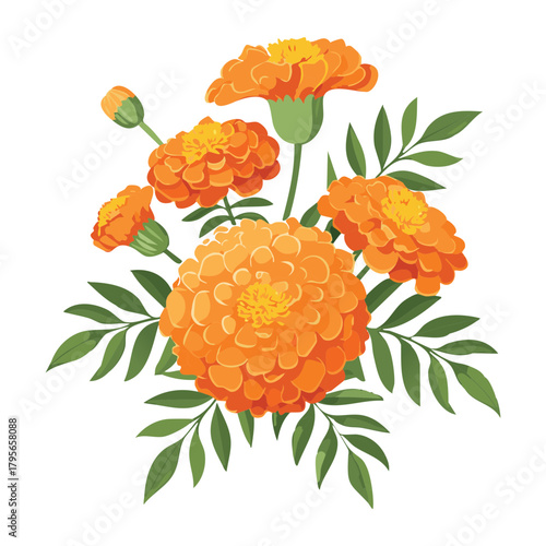 Lush Bouquet of Bright Orange Marigold Plant Flowers with Detailed Green Leaves and Stems for Graphic Use