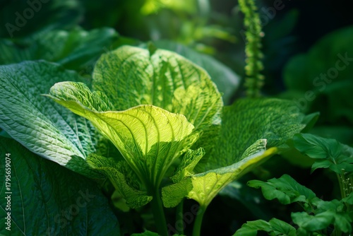 Bright Green Leaf Stands out Among Dark Foliage in a Natural Setting