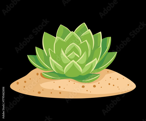 Simple Plant Echeveria Succulent Illustration on Sand and Ground for Minimalist Home Decoration and Gardening Graphics