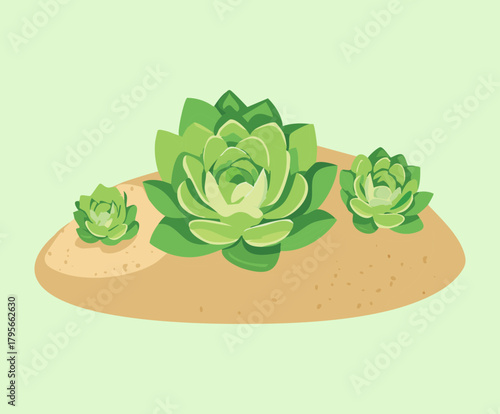 Small Plant Group of Echeveria Succulents Illustration on Light Ground for Minimalist Home Decor Concepts