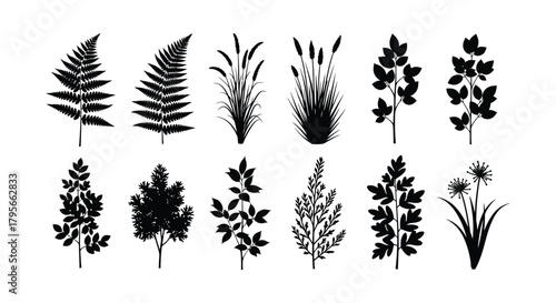 Collection of various botanical illustrations depicting detailed foliage and plant life