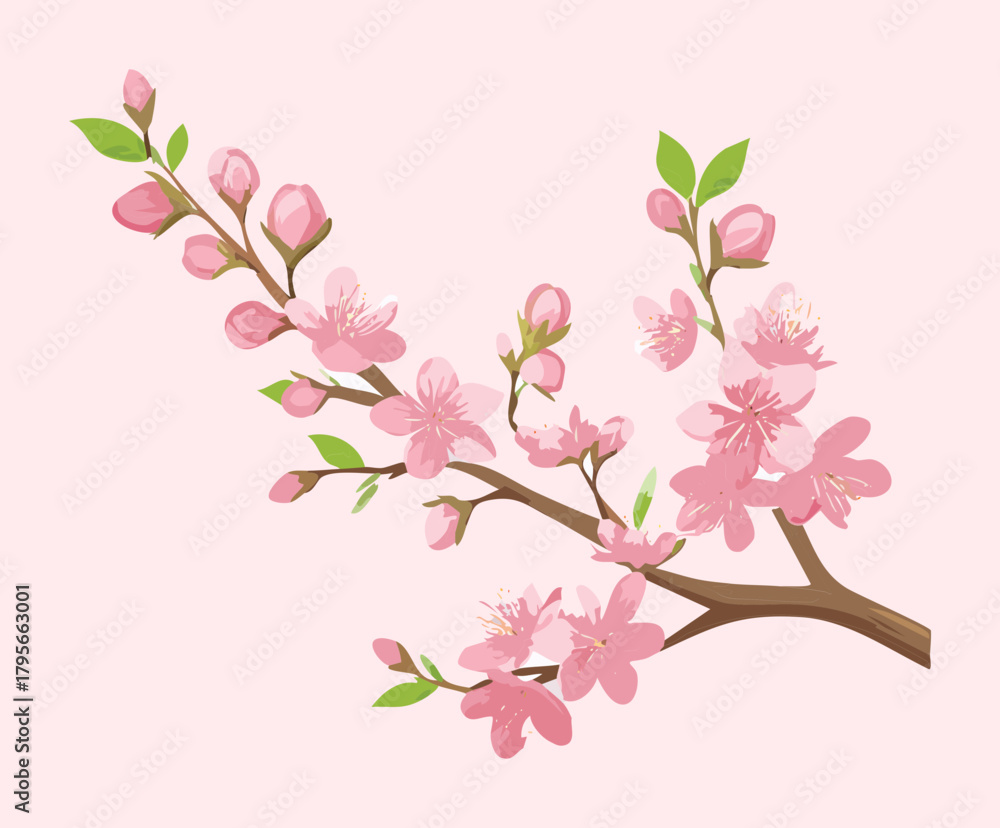 Naklejka premium Vibrant Plant Pink Cherry Tree Branch with Flowers and Buds on a Pale Canvas for Romantic Springtime Designs