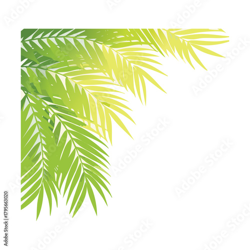 Elegant Tropical Palm Fronds Plants Forming a Decorative Corner Frame