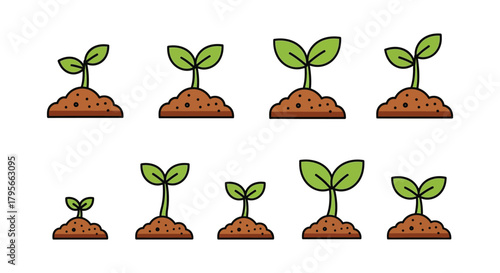 Illustration of plant growth stages from seedling to young plant development