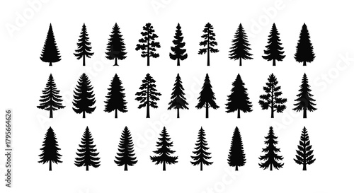 A collection of various silhouetted evergreen tree shapes and forms