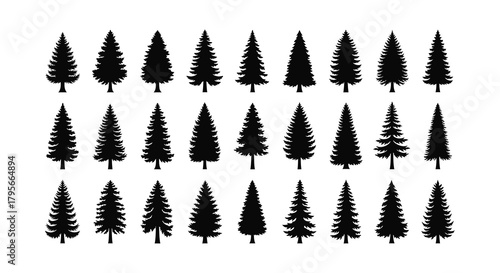 A collection of various silhouetted evergreen tree shapes and forms