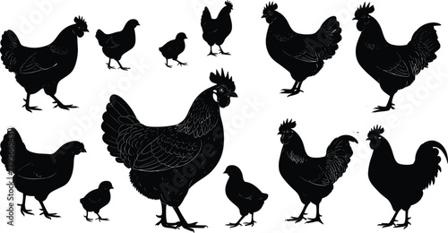 Chicken silhouettes set of hens, roosters, chicks in various poses isolated on white background for farm, poultry, agriculture design