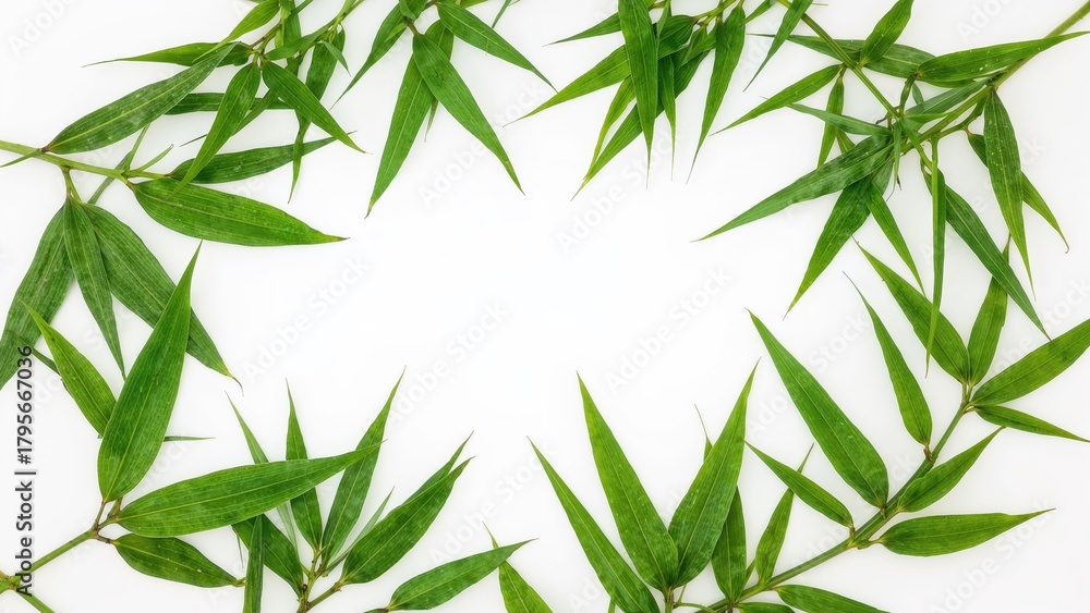Obraz premium Green bamboo leaves arranged in a circular pattern on a white background.