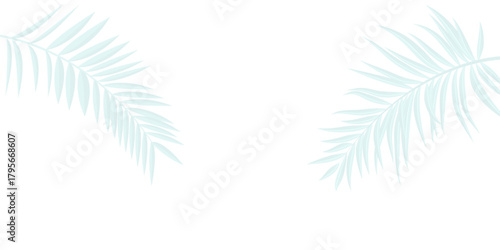 Tropical palm leaves casting soft shadows on bright white surface, Transparent Shadow of Tree Leaves. Decorative Design Element for Presentations and Mockups.