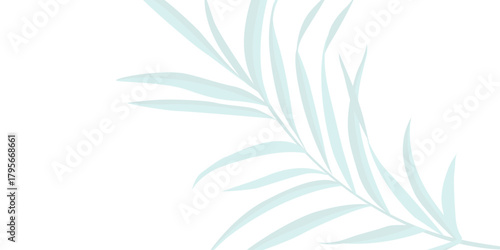 Tropical palm leaves casting soft shadows on bright white surface, Transparent Shadow of Tree Leaves. Decorative Design Element for Presentations and Mockups.