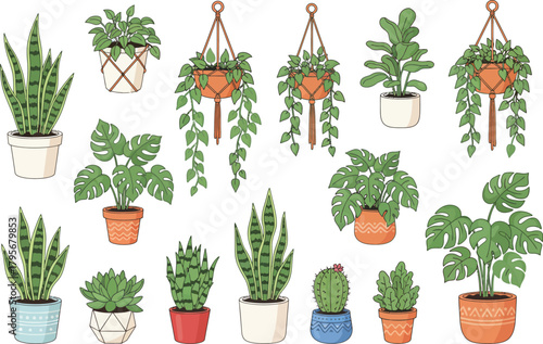 Vibrant Houseplants Arranged in Pots, Home Environment, Digital Illustration, Cozy Viewpoint