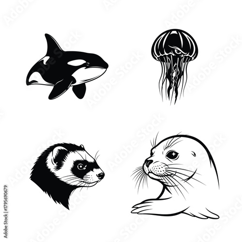 Collection of various marine animals and a ferret in black and white line illustration style isolated on white.