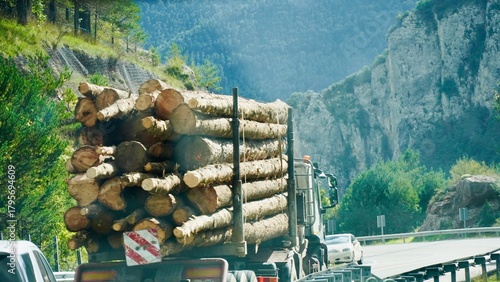 Obraz na płótnie Truck Loaded with Tree Logs Driving on Forest Road – Logging Industry
