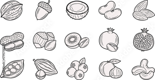 Seed-bearing fruits and nuts, black and white line icons, botanical food grid, healthy produce illustration, educational nutrition vector set