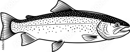trout silhouette line art vector illustration with a white background
