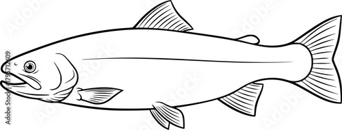 trout silhouette line art vector illustration with a white background
