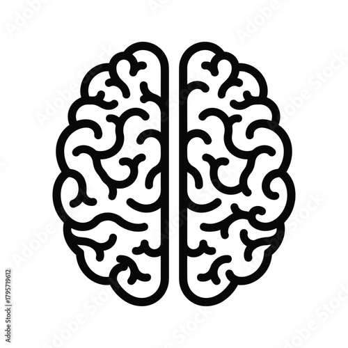 Black outline of a human brain on a white background anatomy medical