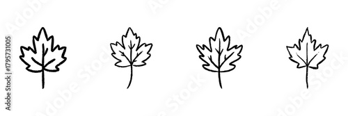 Maple Leaf Line Icon Set In Doodle Style. Nature Symbol, Autumn Season, And Canadian Emblem Outline Sketch Collection. Hand Drawn Isolated Vector Illustration
