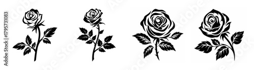 Four black and white artistic rose stems with leaves detailed floral artwork collection