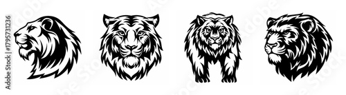 Striking saber-tooth tiger portraits four powerful big cat designs showcasing fierce roaring expressions