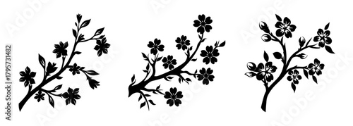 Delicate silhouettes of cherry blossom branches with blooming flowers isolated on white