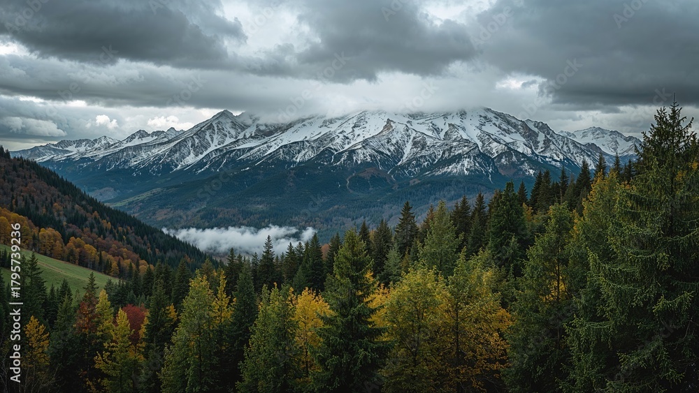 Obraz premium Snow-capped mountains and forest landscape with cloudy sky. Nature and mountain scenery, landscape. The scene of mountains and trees in the wilderness.