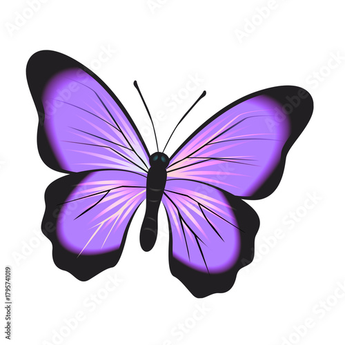 butter flay tattoo design. Vector illustration