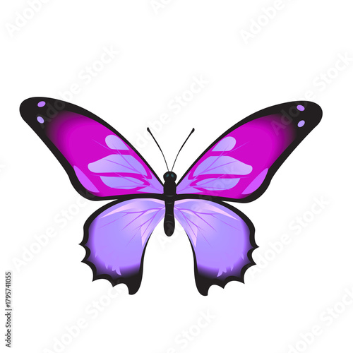butter flay tattoo design. Vector illustration