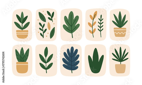 Minimal greenery decorative vector set illustration icons a white illustration, easily editable.