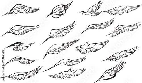 Hand drawn set of stylized bird wings outline sketches collection for aviation or freedom concepts vector