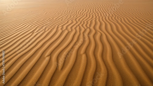 Fototapeta Naklejka Na Ścianę i Meble -  Sand dunes in a desert with rippled patterns and textured surface. Natural landscape. Arid environment. The desert scene shows wind-shaped sand formations.