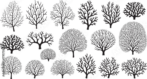 Dry trees silhouettes set bare deciduous woods forest elements for nature winter season background