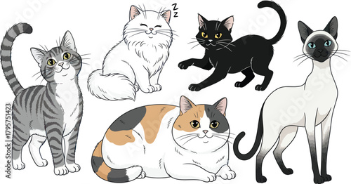 Adorable collection of diverse cat breeds in playful poses, perfect for pet lovers and creative projects