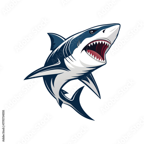 Aggressive shark vector illustration with sharp teeth on white background and ocean predator
