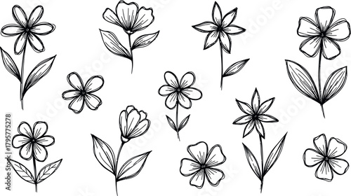 Vector Illustration of Hand Drawn Sketchy Flowers and Leaves Set. Rustic Organic Monochrome Doodle Floral Design Elements.