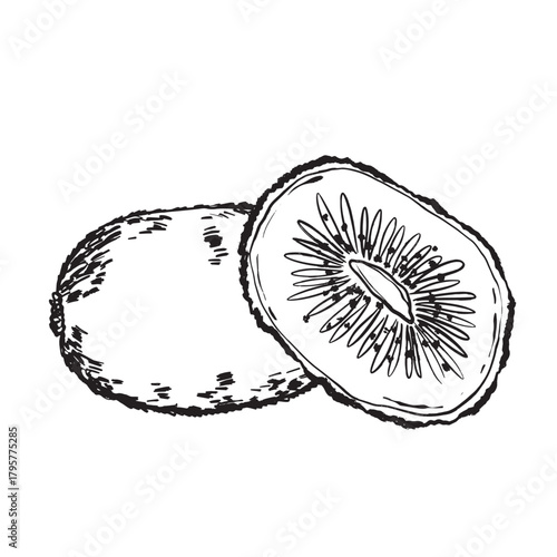 Vivid handdrawn image showcasing kiwi with seeds and fuzzy exterior