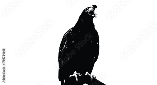 Black bird screaming perched white