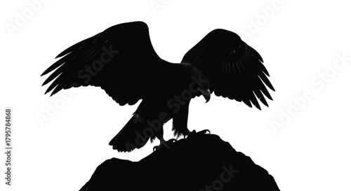 Black eagle perched on rock bird