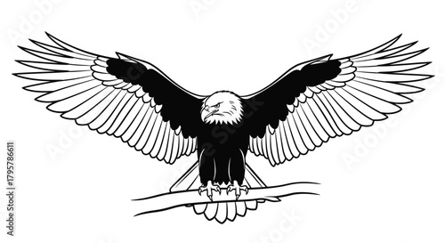 Fierce eagle perched wings spread bird