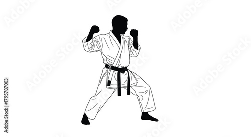 Karate fighter in stance martial arts