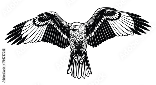 Majestic raptor with outstretched wings bird eagle