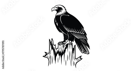 Majestic eagle perched on weathered wood bird raptor