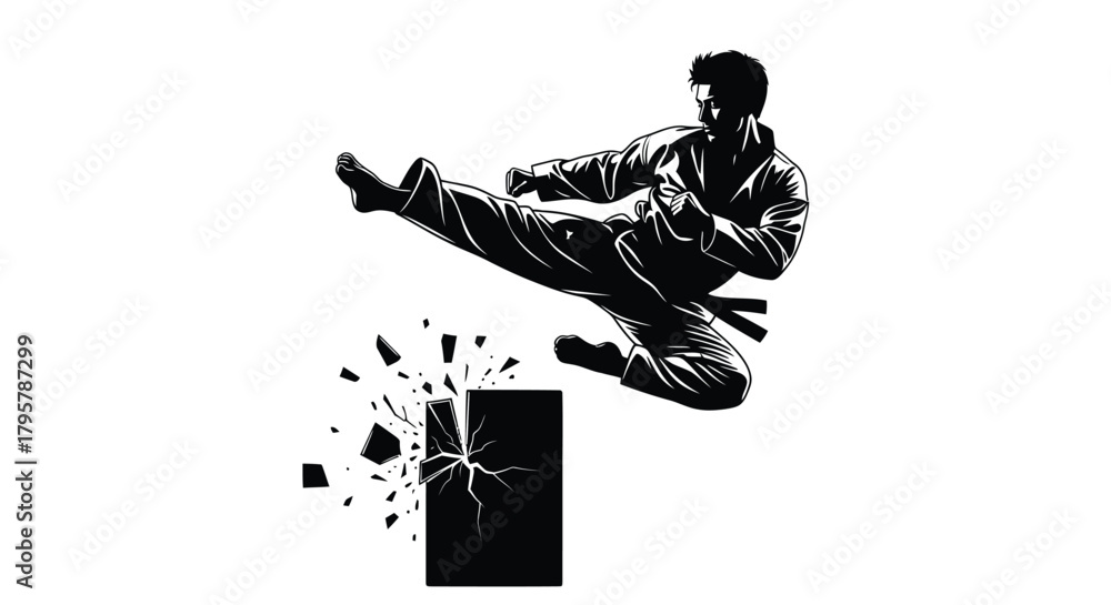 Fototapeta premium Martial artist breaking object with kick vector