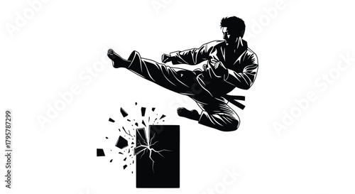 Martial artist breaking object with kick vector