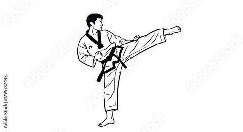 Martial artist performing high kick taekwondo arts