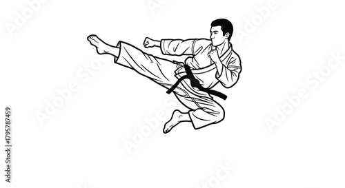 Martial artist performing flying kick karate fighter