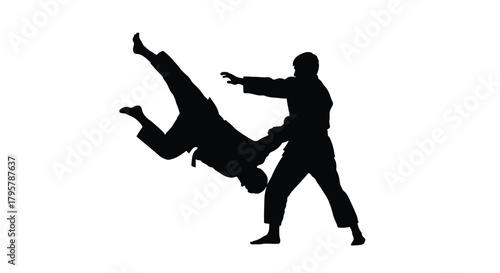 Martial artists grappling during combat arts judo