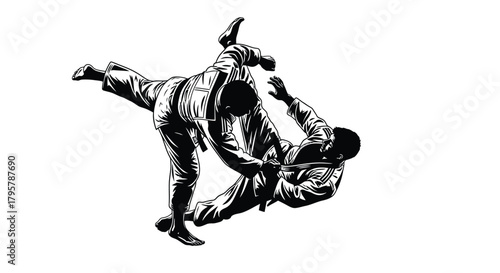 Martial arts combat grappling judo
