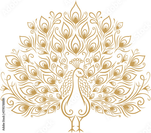 Elegant golden peacock with ornate feather details on a clean white backdrop