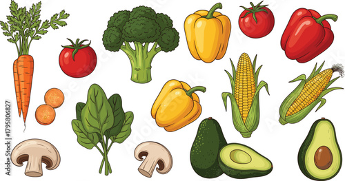 Fresh colorful vegetables illustration featuring broccoli, carrots, tomatoes, peppers, corn, mushrooms, spinach, avocado